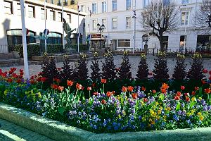 004- Saint-Raphael